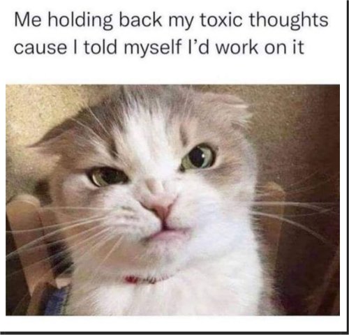 holding back caturday majorgeeks.jpg